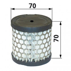 Filter 396424 pre Briggs a Stratton