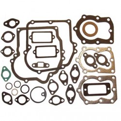 Sada tesnení 16610006, 33233A, 33236, 33238D, 33240B, 33263B pre Tecumseh