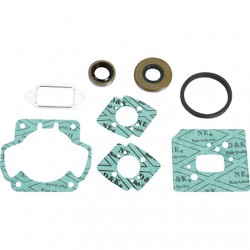 Sada tesnenia 42210071050 pre Stihl TS460