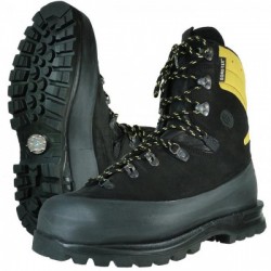 Haix Protector Alpin -  43