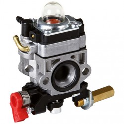 Walbro WYJ-304 pre Alpina-Castor Star 31, 1L4353130