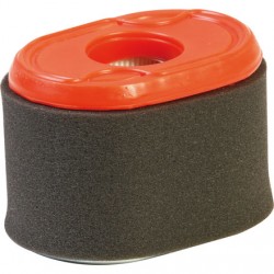 Filter 796970 pre Briggs a Stratton